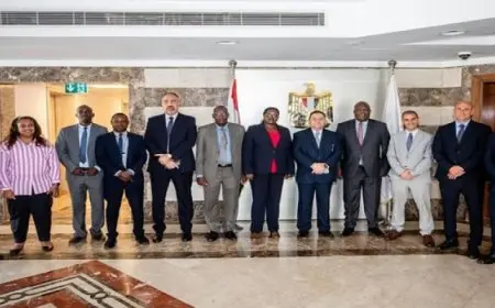 وفد “كينى” يزور البنك المركزى المصرى للتعرف على تجربته الرائدة فى مجال الأمن السيبرانى