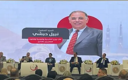 نجاح نبيل حبشي في تنفيذ توصيات مؤتمر المصريين بالخارج النسخة الخامسة