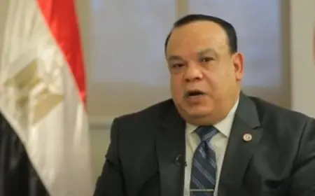 رئيس الوطنية للانتخابات يؤكد ترحيبه بالرقابة الدولية على انتخابات مجلس الشيوخ