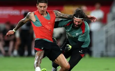 الهلال السعودي يعتزم التعاقد مع نونيز لتعزيز خط الهجوم