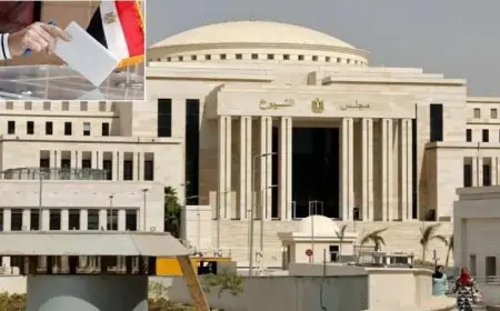 الداخلية تؤكد نجاح الخطط الأمنية حول لجان انتخابات مجلس الشيوخ في جميع المحافظات