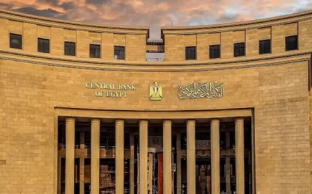 ارتفاع فائض الأصول الأجنبية بالبنوك إلى 14.94 مليار دولار فى يونيو