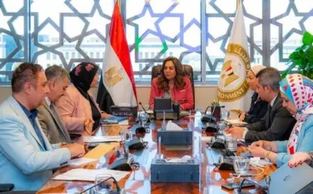 منال عوض تكشف عن الموازنة العامة للوزارة وأبرز جهود صندوق حماية البيئة