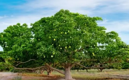 طفل 3 سنوات ينجو بعد سقوطه من الطابق الـ18 ووالده يُكرم “شجرة” أنقذته!!