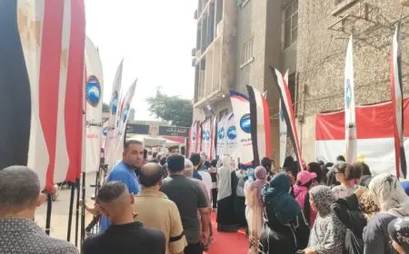 تدفق حشود المواطنين للتصويت في انتخابات الشيوخ بمنطقتي الشروق والمعادي