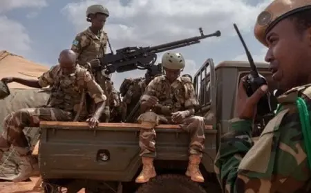 الجيش الصومالى ينفذ عملية أمنية ضد الإرهابيين على طول نهر شبيلى