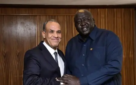 عبدالعاطي يعقد جلسة حوار مع وزير الشئون الخارجية الأوغندي لتعزيز العلاقات الثنائية بين البلدين