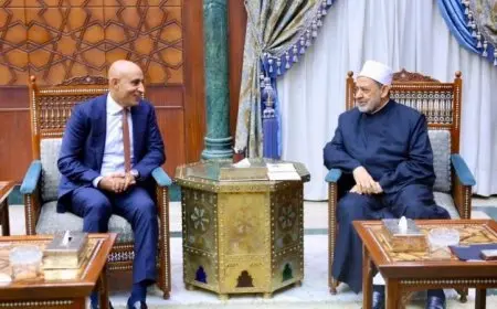 شيخ الأزهر ووزير التعليم يسلطان الضوء على أهمية استعادة هيبة المدرسة الحكومية واحترامها