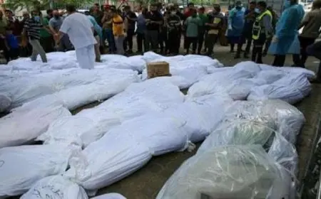 استشهاد 12 فلسطينيا وإصابة آخرين جراء قصف إسرائيلي على فرق تأمين المساعدات في شمال غزة