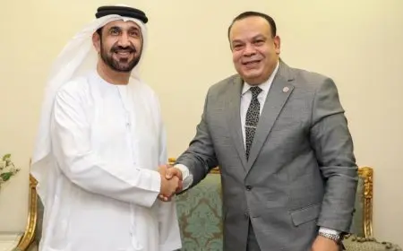 التجربة الانتخابية في مصر تبرز كركيزة أساسية لتعزيز الديمقراطية وفقاً لاليماحي