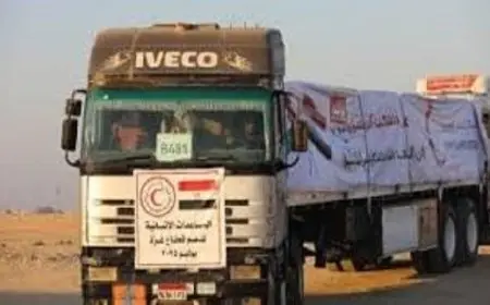مصر تحقق تقدمًا ملحوظًا في إيصال المساعدات إلى غزة
