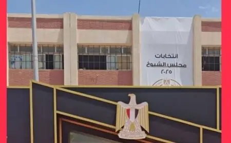 زيادة الإقبال على التصويت في لجان القاهرة الجديدة خلال اليوم الثاني من انتخابات مجلس الشيوخ