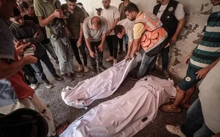 استشهاد 8 فلسطينيين بسبب المجاعة القاسية في غزة خلال الساعات الأربع والعشرين الأخيرة