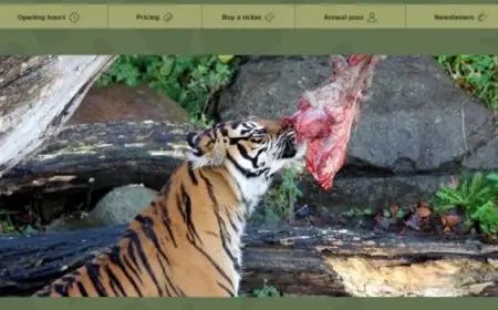 ارتفاع حصيلة عدوان الاحتلال على قطاع غزة إلى 61,020 شهيدا و150,671 مصابا