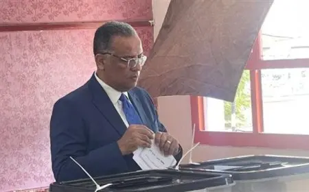 رئيس لجنة الثقافة في مجلس الشيوخ يؤكد أهمية المشاركة في الانتخابات كضرورة وطنية لمواجهة التحديات