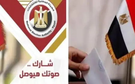 إقبال ملحوظ في انتخابات الشيوخ والتزام برؤى الوطنية للانتخابات بحسب رؤساء اللجان