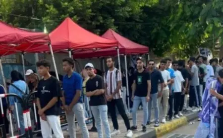 وفد الجامعة العربية يقوم بجولة تفقدية لافتتاح لجان انتخابات الشيوخ في محافظة الإسكندرية