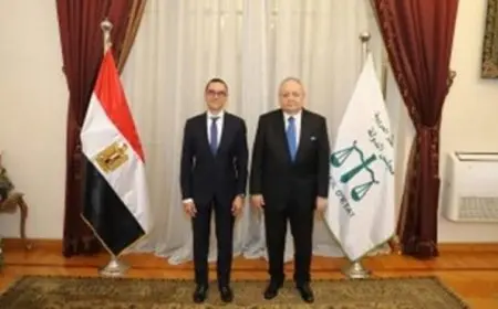 رئيس مجلس الدولة يستضيف وزير الاستثمار والتجارة الخارجية لتعزيز التعاون الاقتصادي