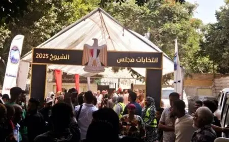 زيادة كبيرة في نسب إقبال الناخبين على لجان انتخابات مجلس الشيوخ