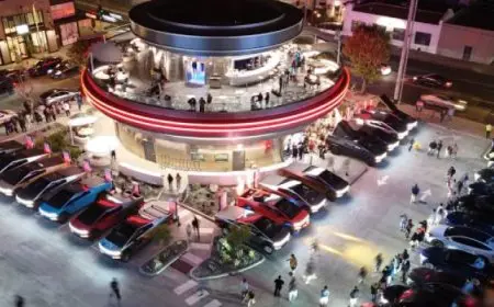 إيلون ماسك وتيسلا فى مرمى القضاء بسبب وعود “روبوتاكسى”