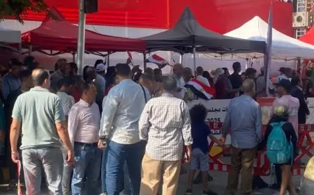 انتخابات الشيوخ في مصر تعكس استقرار البلاد وفقًا للإعلام الدولي