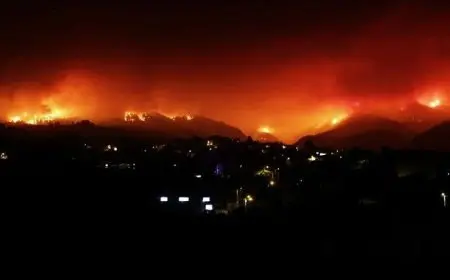 إجلاء الفنادق ومواقع التخييم في جنوب إسبانيا بسبب حرائق الغابات المستعرة