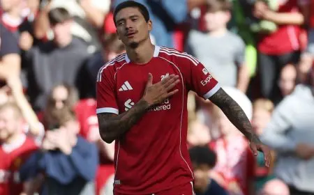 الهلال “يُبرم اتفاقًا” مع ليفربول لضم داروين نونيز