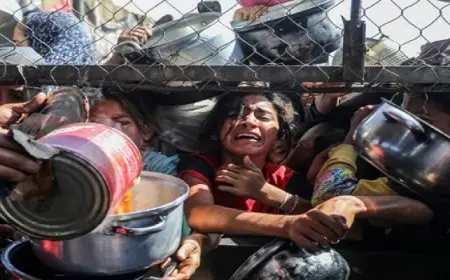 الأمم المتحدة تدعو لحظر تسليح إسرائيل وحل مؤسسة “غزة الإنسانية”