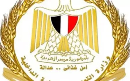 التموين: نواصل جهودنا لتحقيق استقرار الأسعار وضمان وفرة السلع فى الأسواق