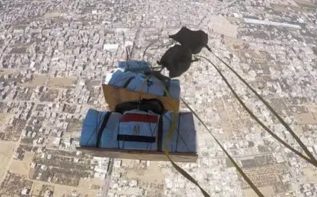 الرئيس السيسي يوجه باستمرار الإسقاط الجوي للمساعدات الإنسانية في قطاع غزة