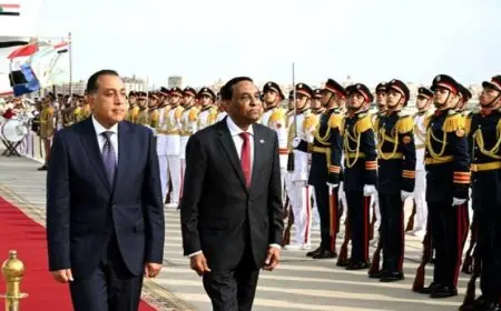 استقبال رئيس الوزراء المصري لنظيره السوداني في مطار القاهرة الدولي