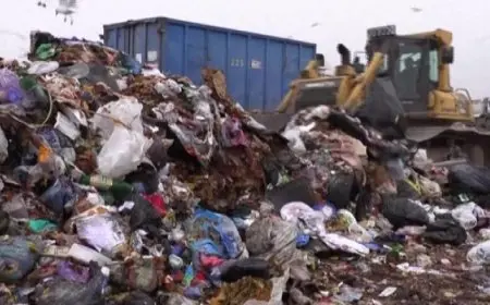 البحث فى مكب نفايات عن سجلات قضائية ألقيت بالخطأ فى نيو أورلينز الأمريكية