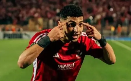 أحمد شوبير: كوكا يوشك على تجديد عقده مع الأهلي خلال 48 ساعة