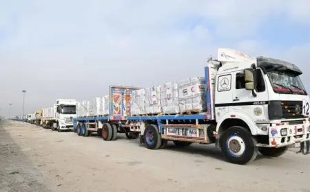 القافلة العاشرة من مساعدات الشاحنات تصل إلى الفلسطينيين في قطاع غزة