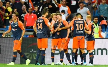 صدمة.. أزمة مالية تجبر نادي مونبلييه على بيع فريقه بالكامل