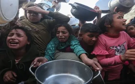 نائبة رئيس المفوضية الأوروبية: غزة تتعرض لقتل وتجويع ممنهج وسط غياب الإنسانية