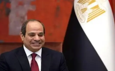 تجديد تكليف محمد عبد الغني نائبا لرئيس المركزي للمحاسبات بقرار جمهوري