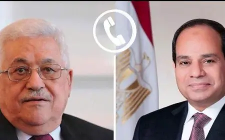 الرئيس السيسي يعزز الجهود المصرية لوقف إطلاق النار في غزة بشكل مكثف