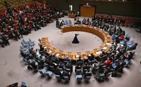 دول عديدة تطالب مجلس الأمن بعقد اجتماع لبحث خطة إسرائيل بشأن غزة