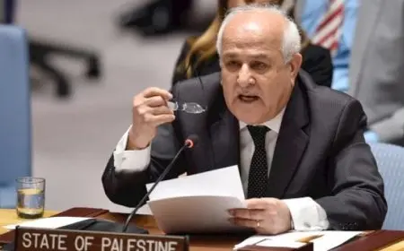 مندوب فلسطين في الأمم المتحدة يشيد بقرار الدول التي منعت تسليح الاحتلال