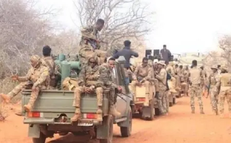 الجيش الصومالي يحرر مدينة استراتيجية في إقليم شبيلي السفلى ويحقق انتصارات جديدة