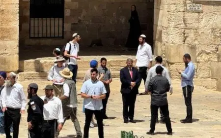 اقتحام مستوطنين لمقبرة باب الرحمة بالقرب من المسجد الأقصى يثير غضب الفلسطينيين