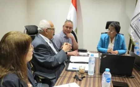 نائب وزير الصحة تناقش آخر مستجدات الاستراتيجية الوطنية للسكان والتنمية في اجتماع هام