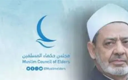 مجلس حكماء المسلمين يندد بقرار إسرائيل لاحتلال قطاع غزة بشكل قاطع