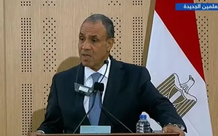 وزير الخارجية المصري والتركي يتعهدان بعدم السماح بتهجير الفلسطينيين من أراضيهم