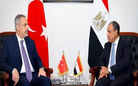 وزير الخارجية المصري يناقش مع نظيره التركي جهود تعزيز الهدنة في غزة