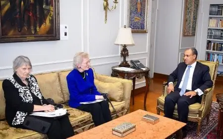 وزير الخارجية يبرز موقف مصر الراسخ ضد تهجير الفلسطينيين من أراضيهم