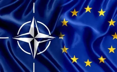 الناتو يؤكد استمرار تسليم الأسلحة لأوكرانيا رغم القمة الروسية الأمريكية