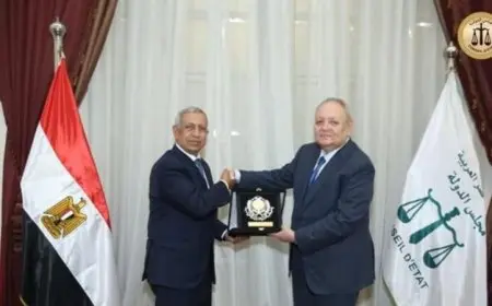 رئيس مجلس الدولة يلتقي رئيس الأكاديمية العربية للعلوم والتكنولوجيا والنقل لتعزيز التعاون الأكاديمي