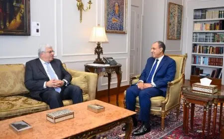 وزير الخارجية ووزير التعليم العالي يتبادلان الأفكار لتعزيز التعاون المشترك